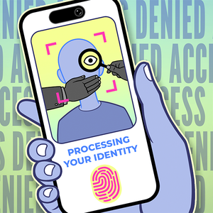 Unpacking the Hidden Pitfalls of Age Verification Laws in 2025