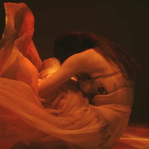 The 19-Minute Video: A Cautionary Tale of Privacy in the Digital Age