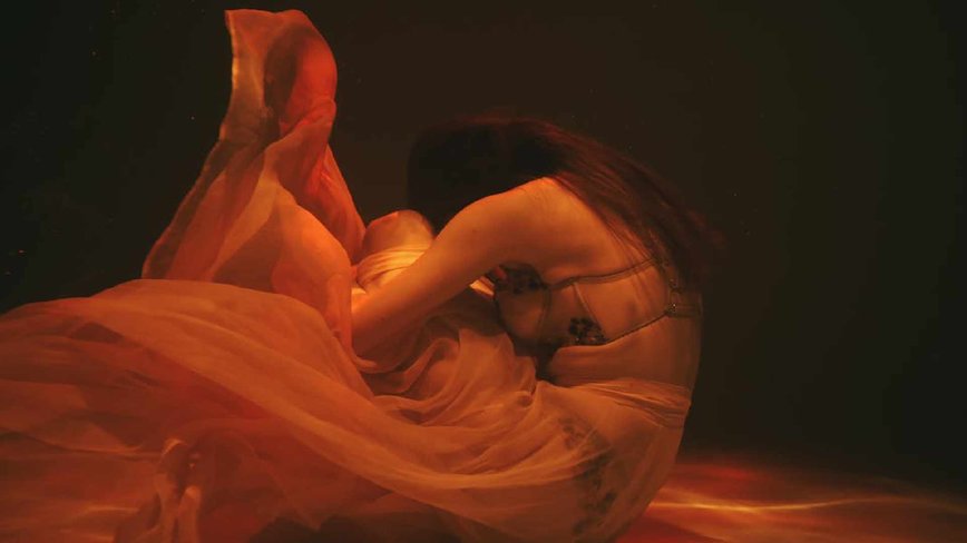 The 19-Minute Video: A Cautionary Tale of Privacy in the Digital Age