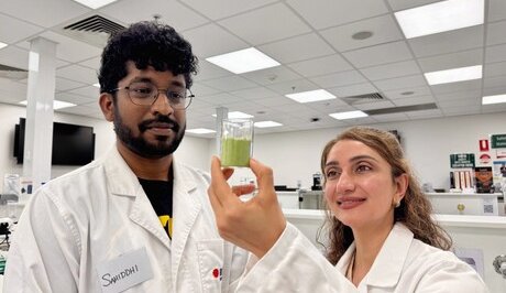 Saltbush: The Aussie Shrub Shaking Up the Protein Scene