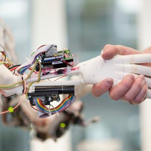 RentAHuman: Where AI Meets the Gig Economy