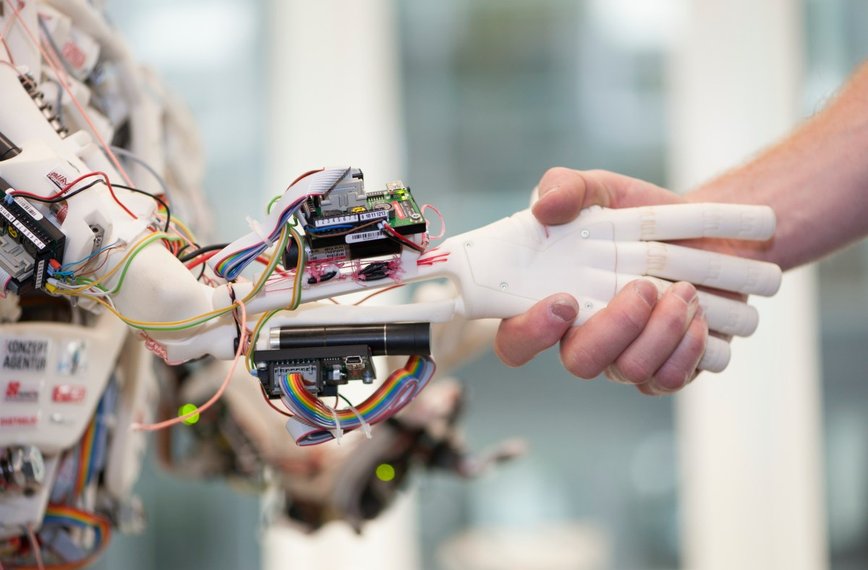 RentAHuman: Where AI Meets the Gig Economy