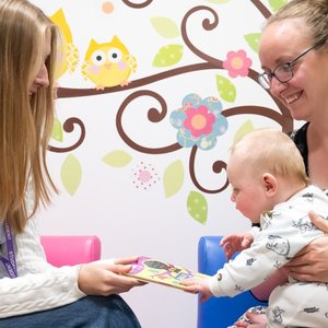 Study Reveals Babies' Love for Bold Colors Over Subtle Hues