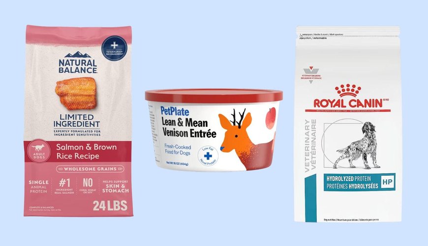Top Dog Foods for Allergy Relief in 2026: Tailored Tips for Your Furry Friend