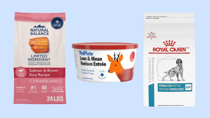 Top Dog Foods for Allergy Relief in 2026: Tailored Tips for Your Furry Friend