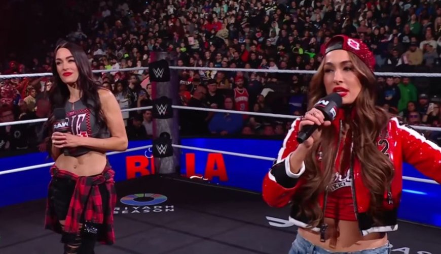 Brie Bella Playfully Pouts: Nikki Bella's DMs Get All the NSFW Attention