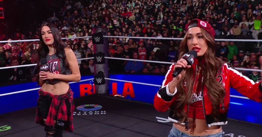 Brie Bella Playfully Pouts: Nikki Bella's DMs Get All the NSFW Attention