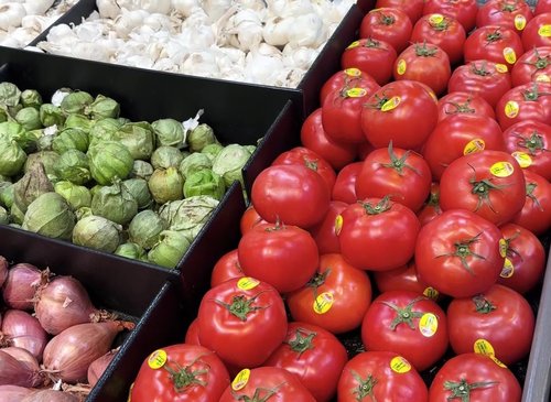 Senior Citizens in Salt Lake City Embrace Healthier Lifestyles with Memory Class