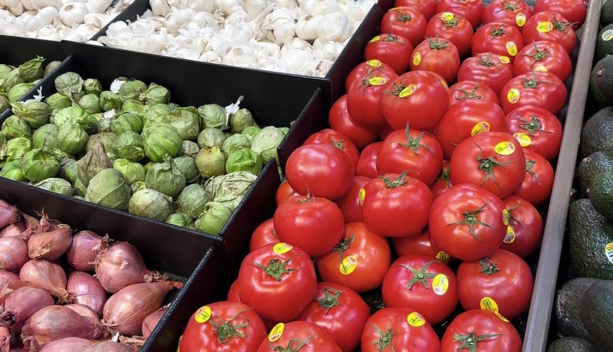 Senior Citizens in Salt Lake City Embrace Healthier Lifestyles with Memory Class