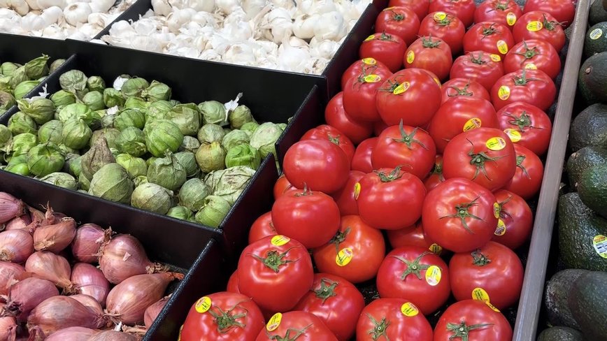 Senior Citizens in Salt Lake City Embrace Healthier Lifestyles with Memory Class