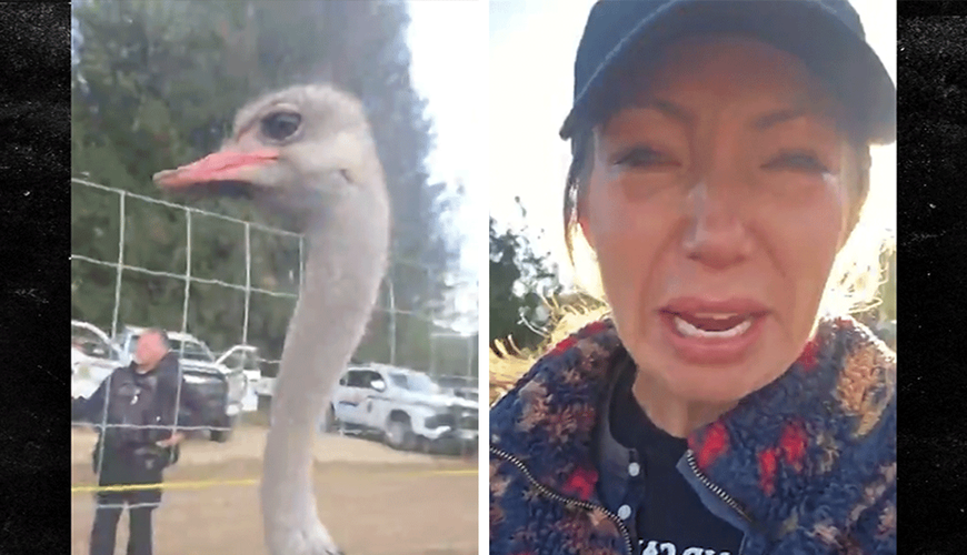 Tensions Soar as Canadian Ostrich Farm Protesters Arrested Amid Controversial Cull