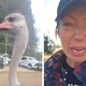 Tensions Soar as Canadian Ostrich Farm Protesters Arrested Amid Controversial Cull