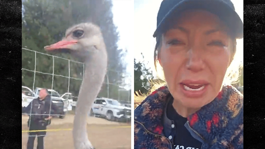 Tensions Soar as Canadian Ostrich Farm Protesters Arrested Amid Controversial Cull