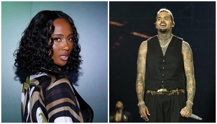 Chris Brown, Kayla Nicole Get NSFW Steamy Onstage