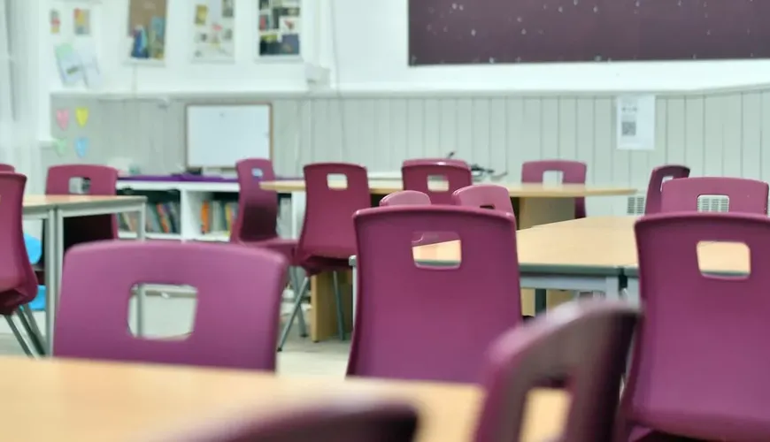 Essex Teacher Barred for Showing Racy Image to Students: The Full Story