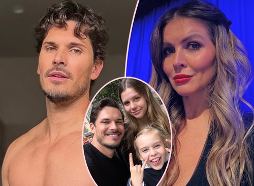 Gleb Savchenko's Custody Drama Explodes: Allegations of Abduction and Heated Accusations