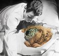 The Rise of AI Porn: Fantasy or Foe for Human Intimacy?