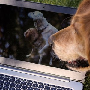 Protecting Your Privacy: 6 Essential Ways to Stay Safe While Watching Porn Online