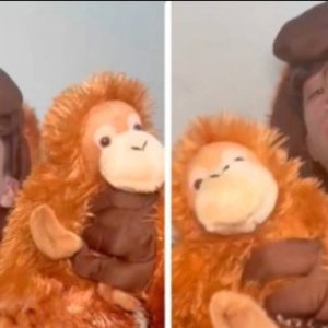 Whitexican's Bold Punch Monkey Cosplay Ignites Internet Frenzy