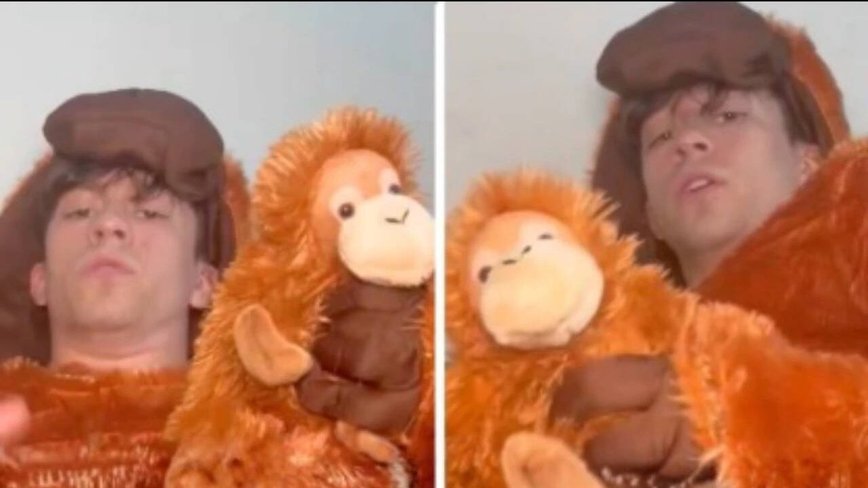 Whitexican's Bold Punch Monkey Cosplay Ignites Internet Frenzy