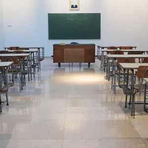 Poland Takes a Stand: No Phones Allowed in Primary Schools