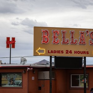 Inside Nevada's Controversial Brothels: Union Talks, Legal Loopholes, and Digital Transformation