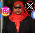 Tanzania's Digital Clampdown: Navigating the Social Media Maze