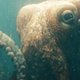 The Boys: Dive into Controversy with The Deep’s Unique Ambrosius Toy