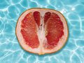 A Splash of Desire: The UK's Rising Trend of Watery Kinks