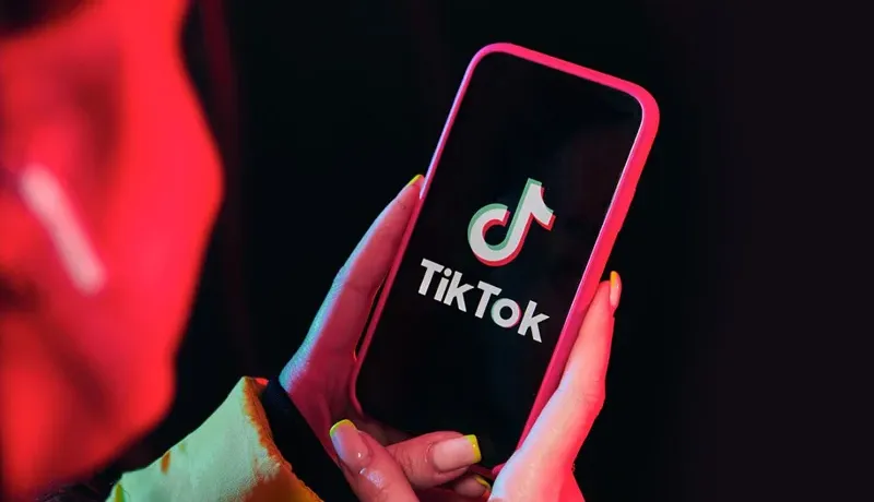 TikTok Clamps Down in Pakistan: 28 Million Videos Removed