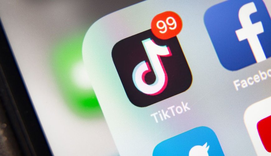 TikTok and Snapchat Hit with 'Dirty Dozen' Label in Exploitation Report