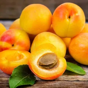 Daily Apricots: Surprising Health Perks You Didn't Know About!