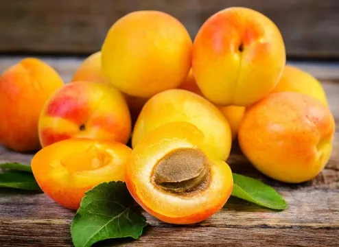 Daily Apricots: Surprising Health Perks You Didn't Know About!
