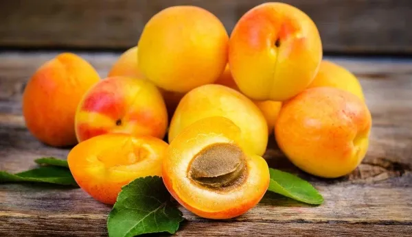 Daily Apricots: Surprising Health Perks You Didn't Know About!