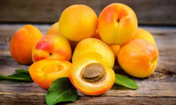 Daily Apricots: Surprising Health Perks You Didn't Know About!
