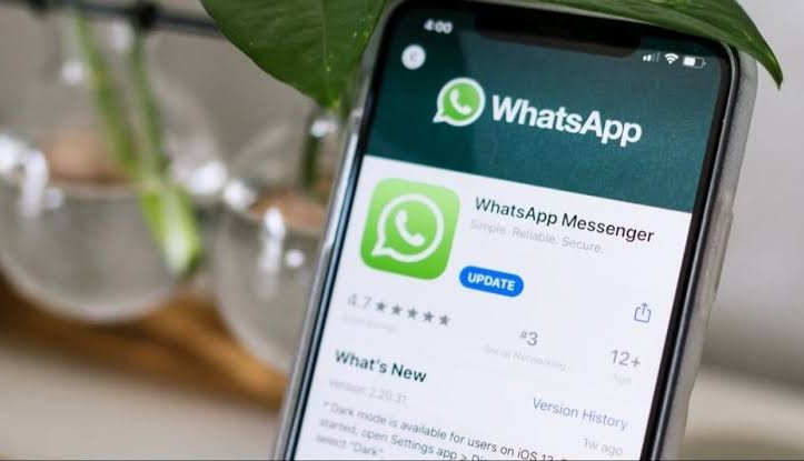 WhatsApp Unveils Game-Changing Update: Say Hello to Usernames
