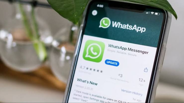 WhatsApp Unveils Game-Changing Update: Say Hello to Usernames
