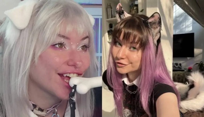 Meet Meowdalyn: The Twitch Streamer Who Lives as a Dog, One Bark at a Time