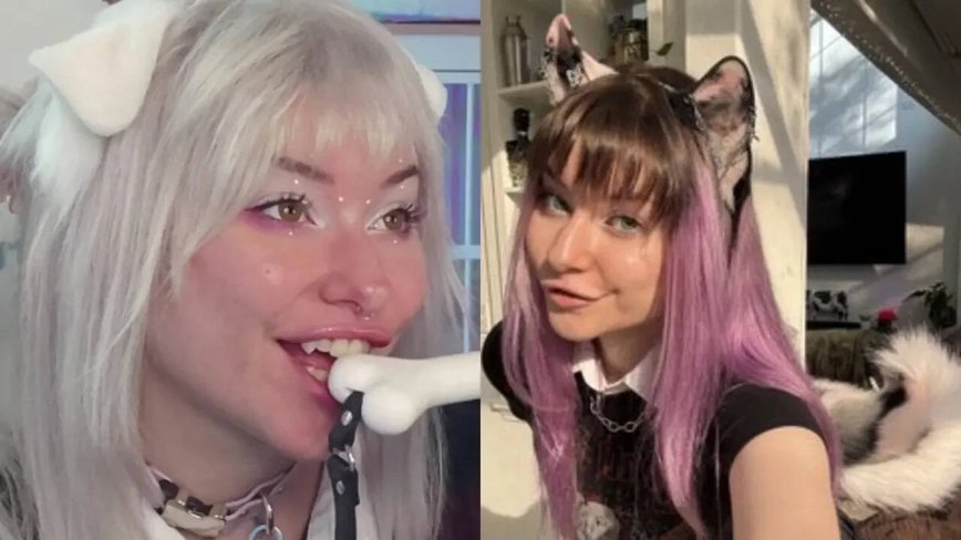 Meet Meowdalyn: The Twitch Streamer Who Lives as a Dog, One Bark at a Time